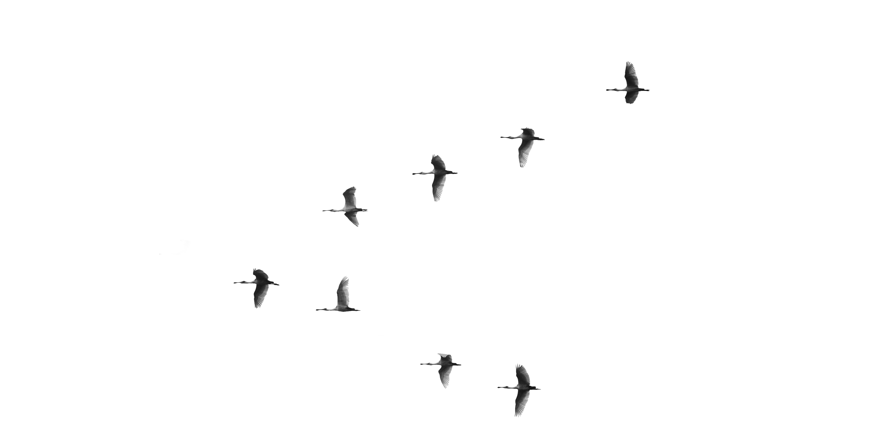 julia-craice-faCwTallTC0-unsplash-crop-adjusted