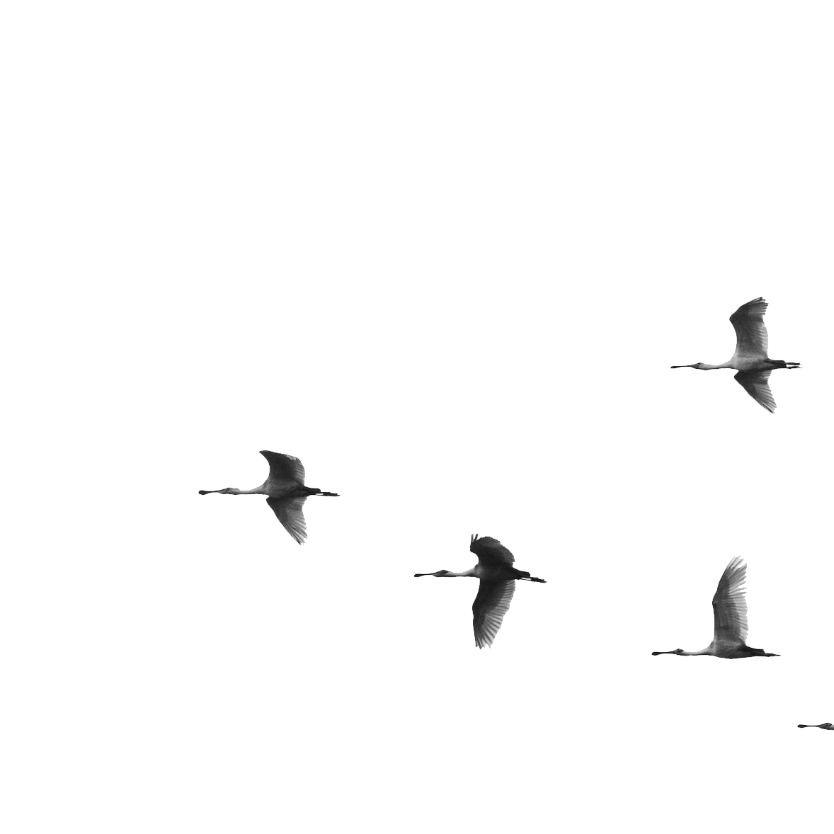 julia-craice-faCwTallTC0-unsplash-crop-mob